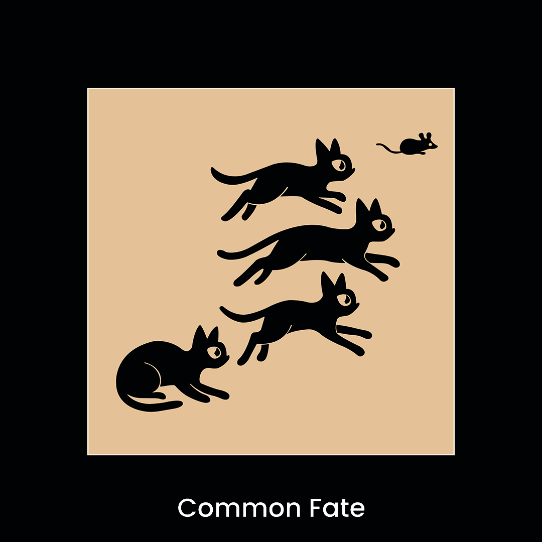 Common Fate — Gestalt principle illustrated by cats