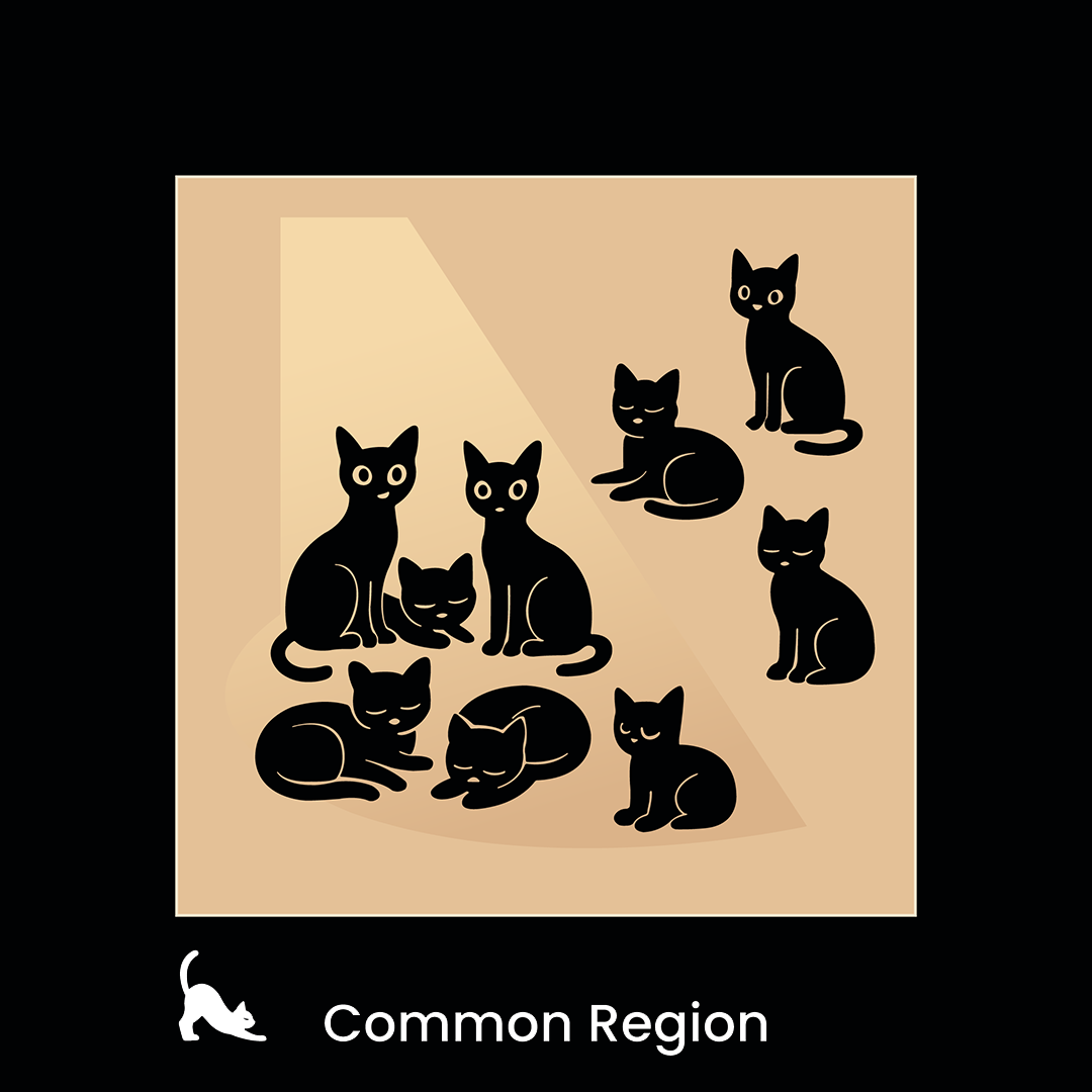 Common Region — Gestalt principle illustrated by cats
